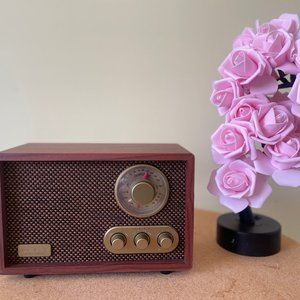Magnolia Bluetooth Speaker and AM/FM Radio